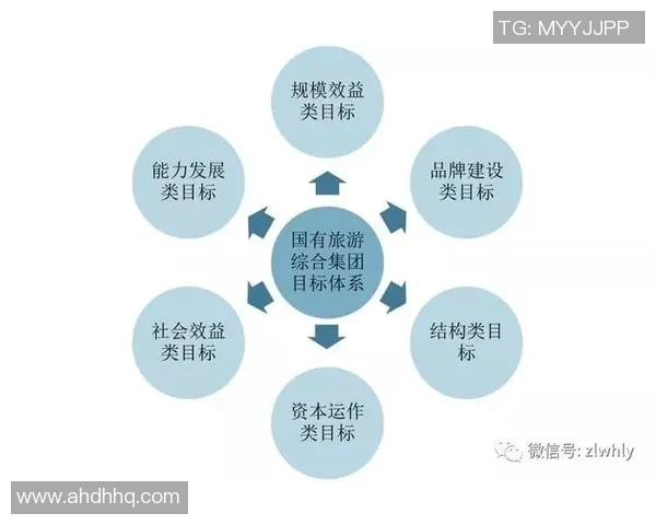 必一运动阶段协作回顾与未来发展展望的综合分析与反思