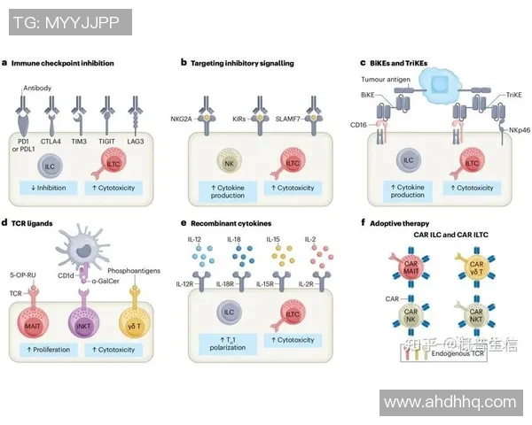 比赛对抗变化中的策略演变与选手适应能力的深度分析