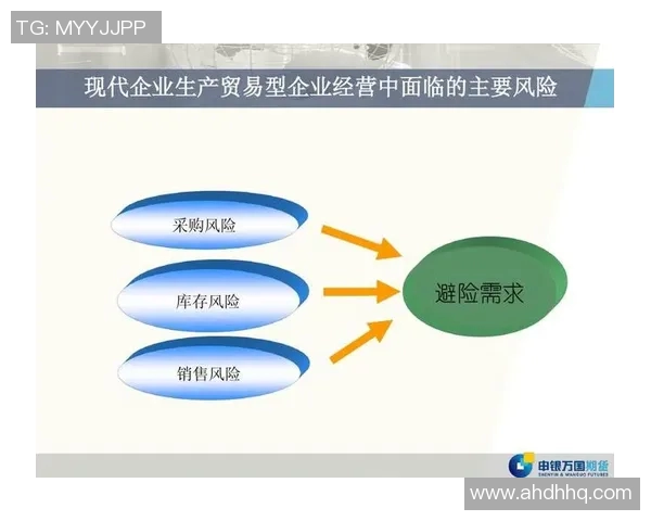 防线协作结构分析在现代企业管理中的应用与优化探讨
